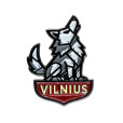 Ženkliukas Vilnius Geležinis Vilkas
